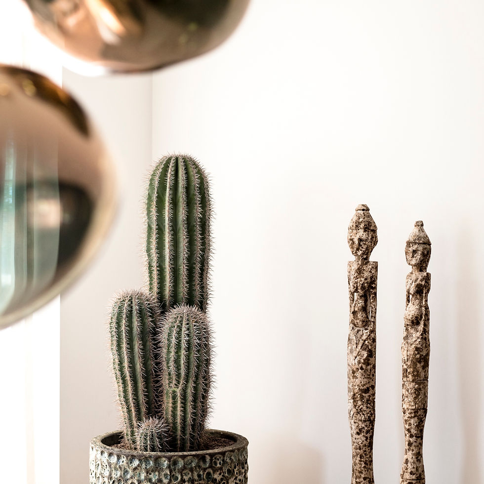 Thumbnail: Multi Dolores