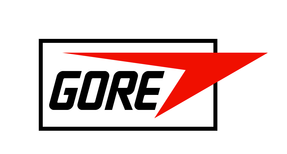 gore_logo_color_positive_rgb.png
