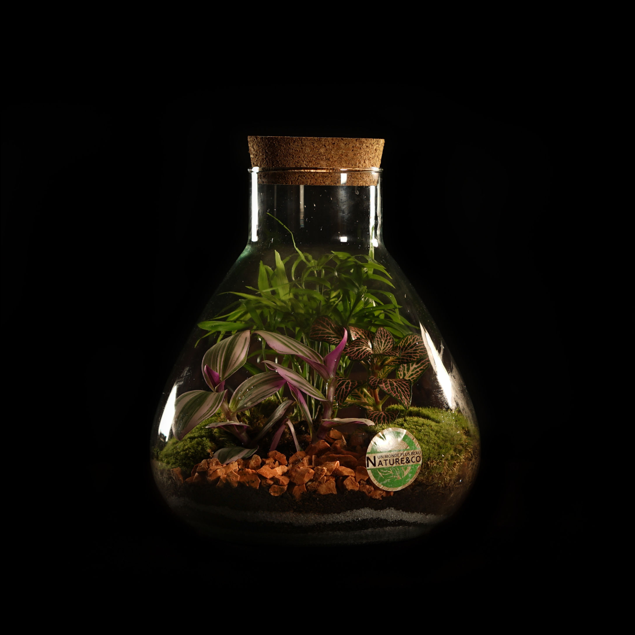 Terrarium - "Tropical"