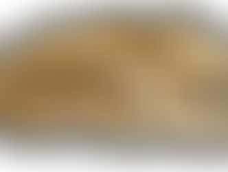 Stocker et conserver ses graines