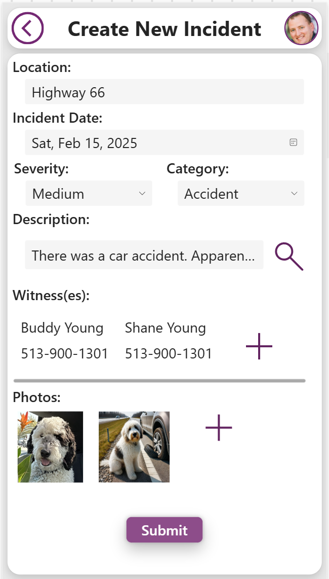 Incident report form with details: Highway 66, Feb 15, 2025. Medium severity car accident. Witnesses listed. Includes two dog photos.