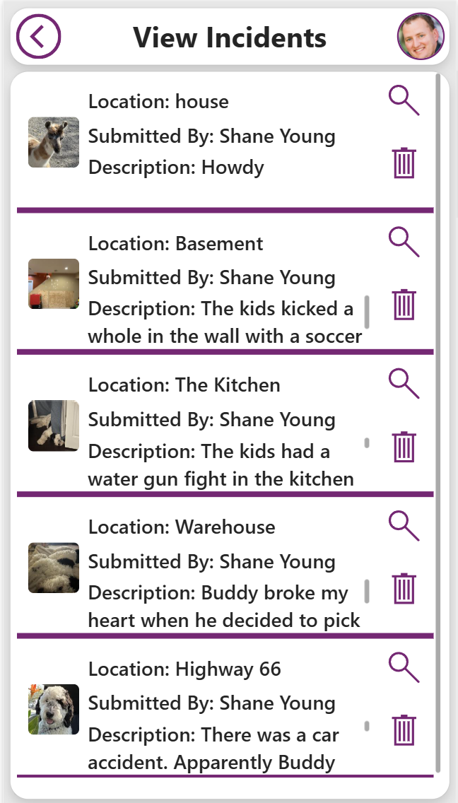 List of incidents submitted by Shane Young. Includes locations like house, basement, and Highway 66 with descriptions and images.