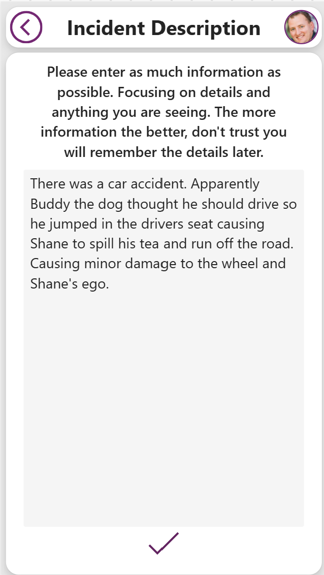 Incident report interface with text describing a car accident involving a dog named Buddy, causing a tea spill and minor damage.