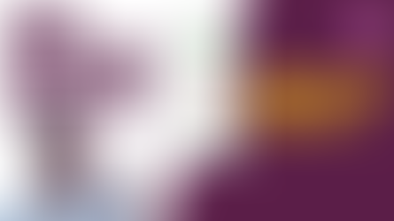 Building Quick and Visual Reports with Power Apps Reporting not Power BI