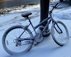 IMG-1265_edited.jpg