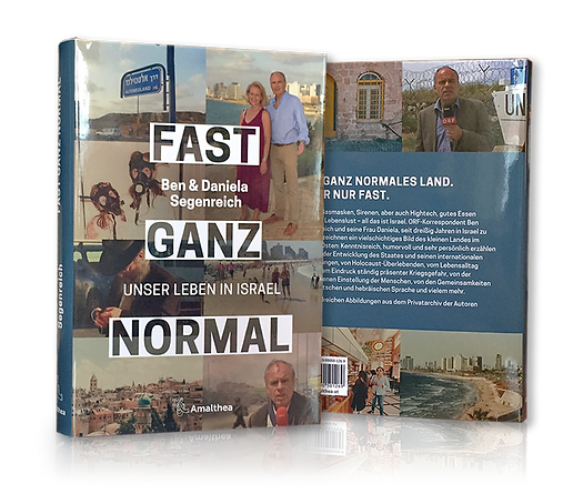 Buch Fast Ganz Normal