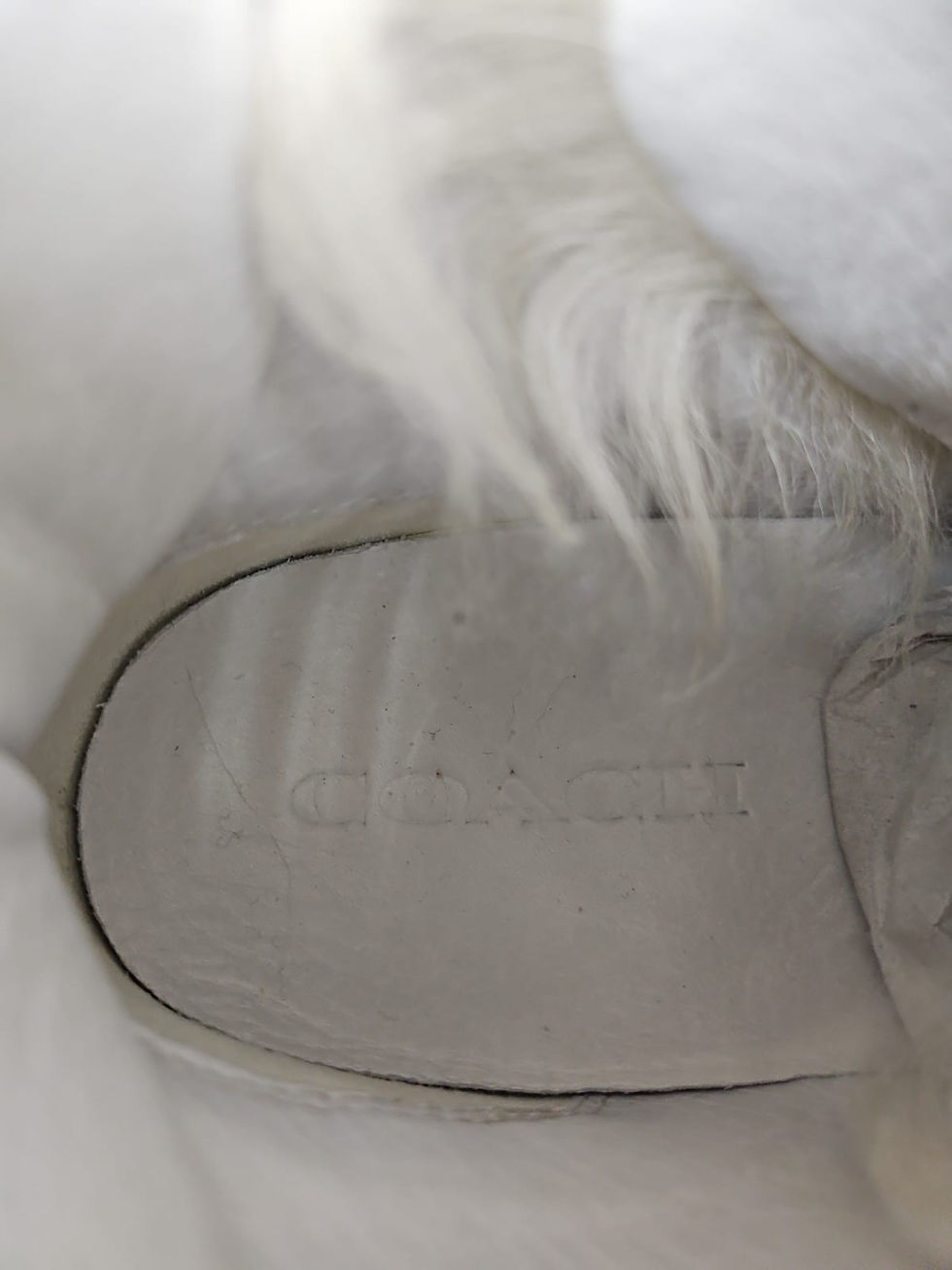 Thumbnail: Coach - Shoes