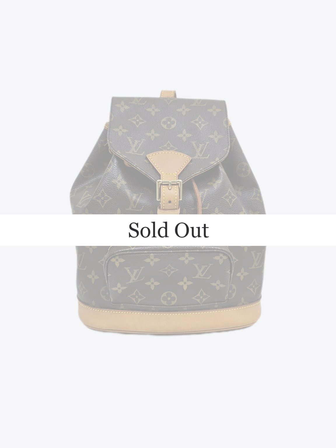 Louis Vuitton - Montsouris MM Backpack