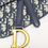 縮圖：Dior - Saddle Waist Bag