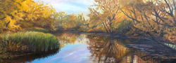 Sertoma Pond
