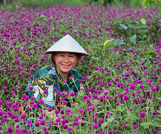 Flowers in Nha Trang