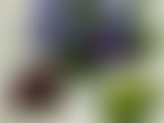 幼児期後半。手先や体を動かして遊ぶ楽しさを味わいました・ほっこりクラス 仲夏の会
