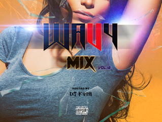 DJ Kush - Wavy Mix