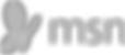 msn.png