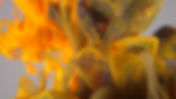 vlcsnap-2023-11-09-15h20m26s615.jpg
