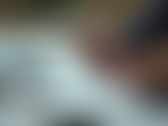 Cotización para manual de marca: Guía práctica