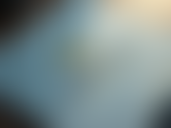 Ventajas de un logo profesional: ¿Por qué elegir un logo profesional sobre uno gratis?