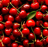 Spencer Ranch Cherries