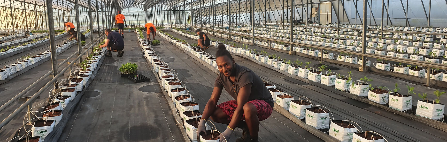 Moore Park Greenhouse Facility