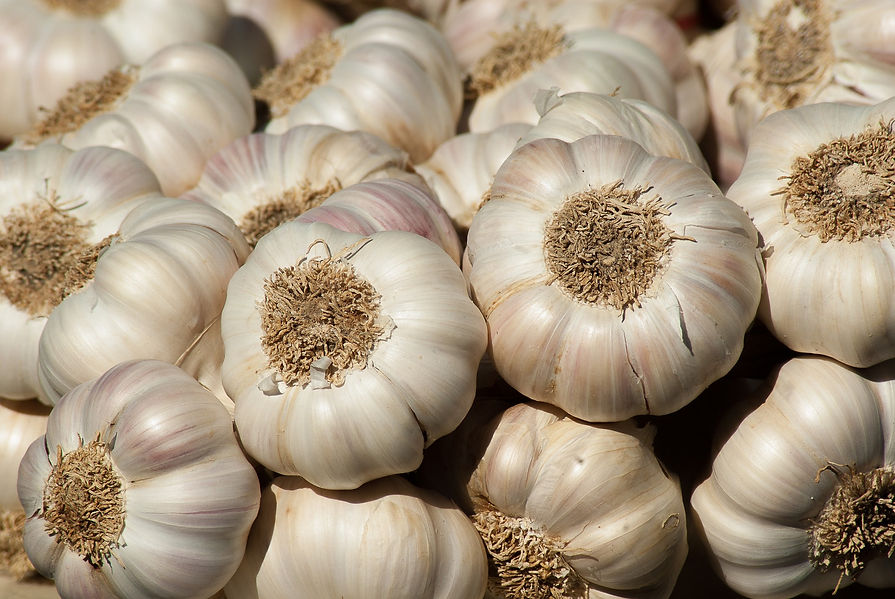 Carter & Spencer Garlic