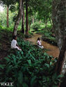 Echoes of heritage - Paniya Tribe