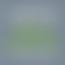 Launching the Green Business Network