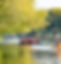 Planet CIC Water conservation workshop website_edited.jpg