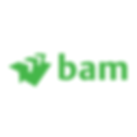 BAM Construction
