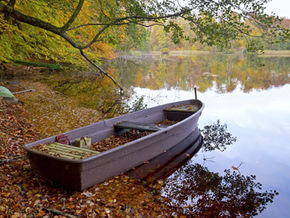 3 OT A~"Leaving Zebedee" ~Mt. 4:12-23 Susan McGurgan, D.Min.  