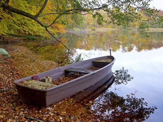 "Albany Approves Regulations
 On Boat Inspection Program"