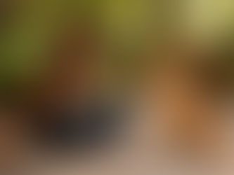 Trainer using clicker with dog indoors