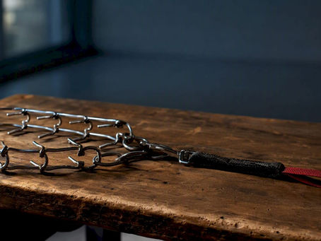 Prong collar and leash on training bench