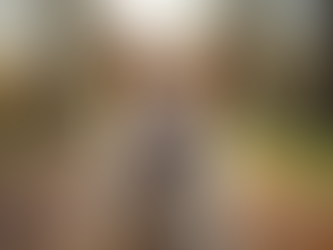 Effective Dog Training Techniques: A Guide to Happy, Well-Behaved Dogs