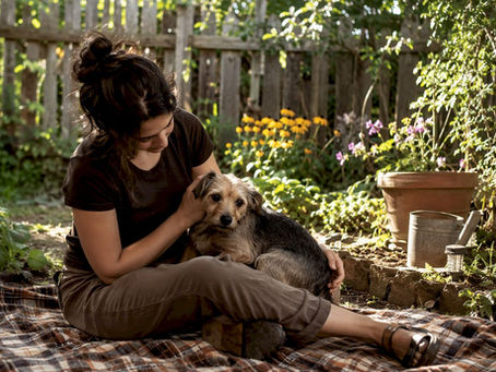 Woman comforting anxious dog at home