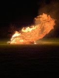 img_4381.jpeg