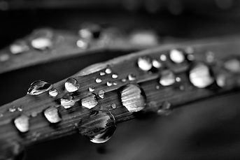 waterdroplet BW.jpeg