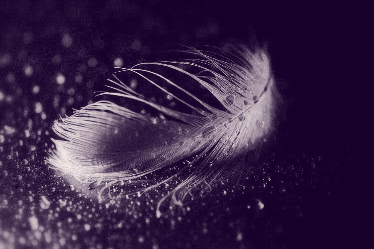 80b189381740877b56345642f06b5383_edited_