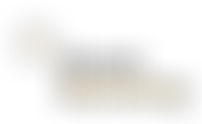 Introducing Roced Marketing