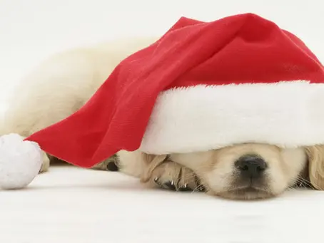 So this is Christmas