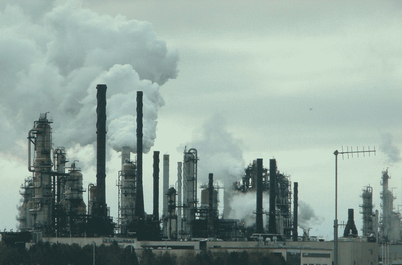 plant pollution GIF.gif