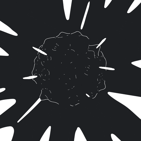 animation loop GIF by Winston Duke.gif