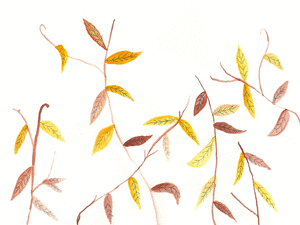 autumn GIF by Katie Drew.gif