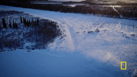 gif.gif