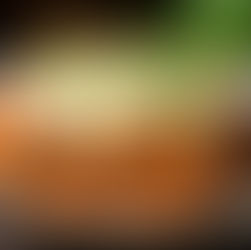 Grandma’s Lasagna