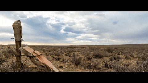 Artist Sing GIF by Universal Music Africa.gif