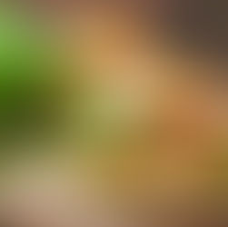 Truffle Turkey Burger 