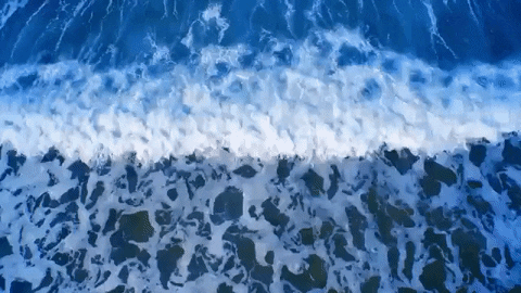 tinashe GIF.gif