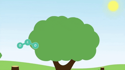 climate change animation GIF.gif