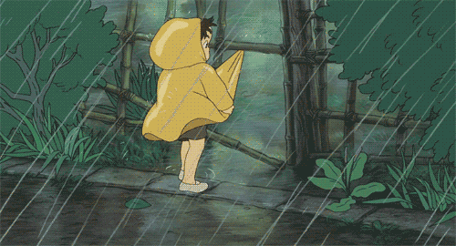 my neighbor totoro GIF.gif