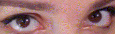 gif.gif